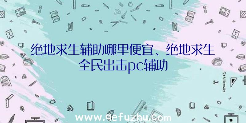 绝地求生辅助哪里便宜、绝地求生全民出击pc辅助