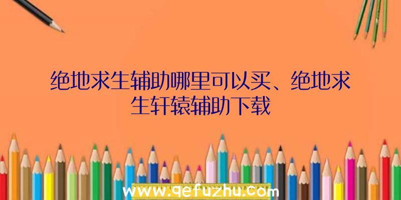 绝地求生辅助哪里可以买、绝地求生轩辕辅助下载