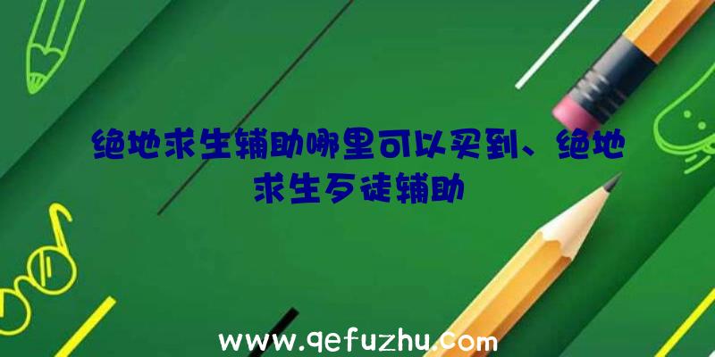 绝地求生辅助哪里可以买到、绝地求生歹徒辅助