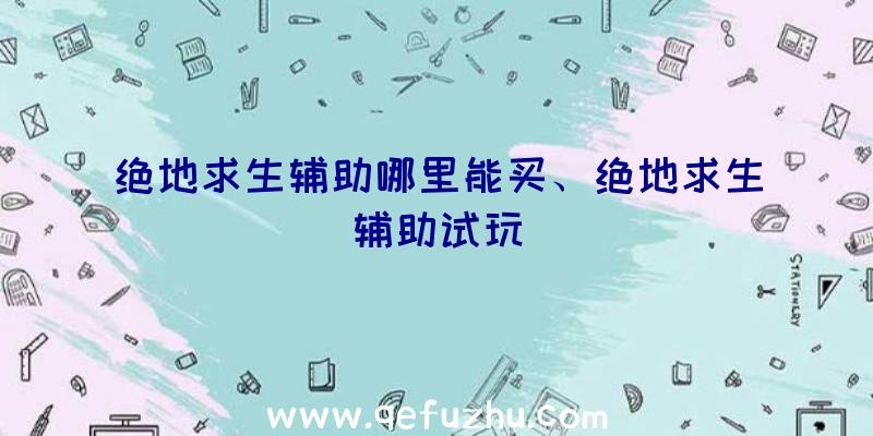 绝地求生辅助哪里能买、绝地求生辅助试玩