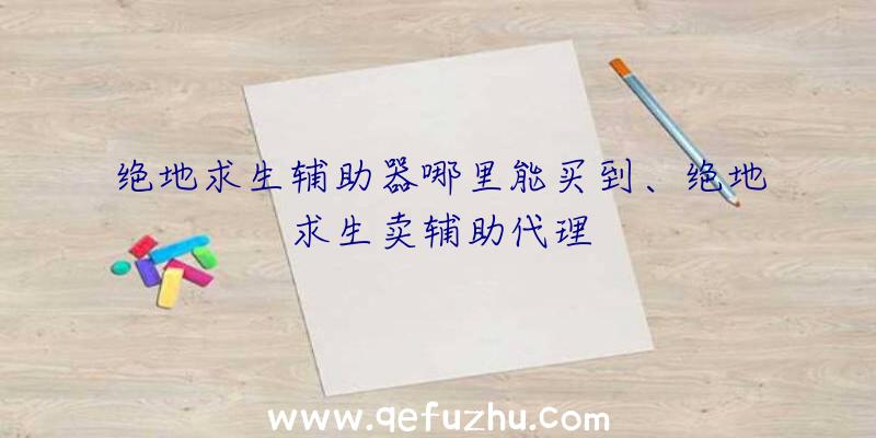 绝地求生辅助器哪里能买到、绝地求生卖辅助代理