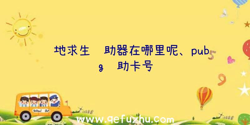 绝地求生辅助器在哪里呢、pubg辅助卡号