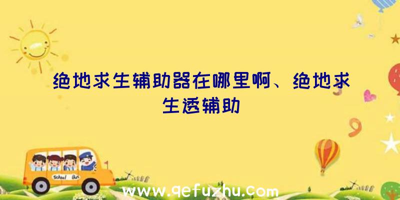 绝地求生辅助器在哪里啊、绝地求生透辅助