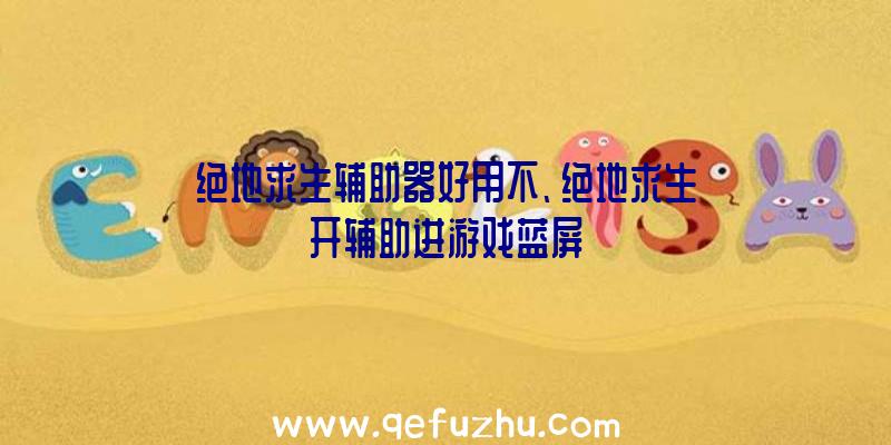 绝地求生辅助器好用不、绝地求生开辅助进游戏蓝屏