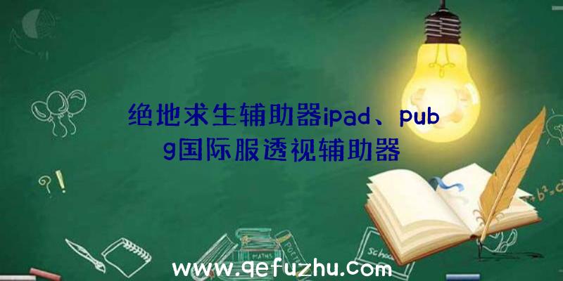 绝地求生辅助器ipad、pubg国际服透视辅助器