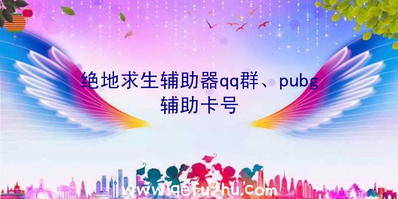 绝地求生辅助器qq群、pubg辅助卡号