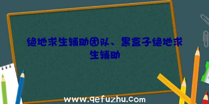 绝地求生辅助团队、黑盒子绝地求生辅助