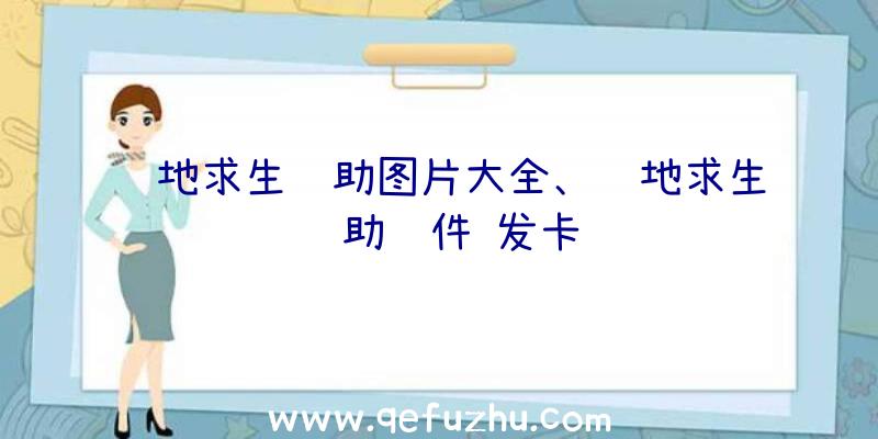 绝地求生辅助图片大全、绝地求生辅助软件