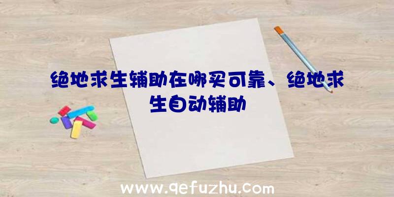 绝地求生辅助在哪买可靠、绝地求生自动辅助