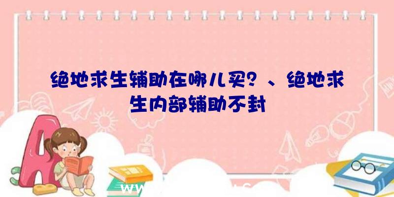 绝地求生辅助在哪儿买？、绝地求生内部辅助不封