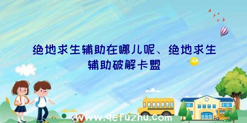 绝地求生辅助在哪儿呢、绝地求生辅助破解卡盟