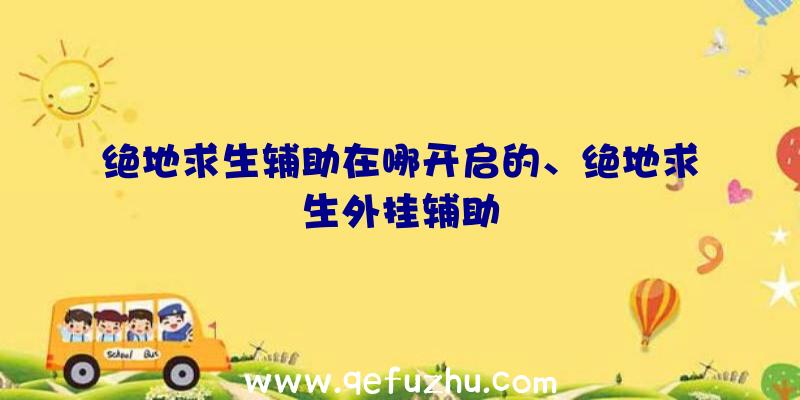 绝地求生辅助在哪开启的、绝地求生外挂辅助