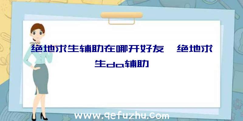 绝地求生辅助在哪开好友、绝地求生da辅助