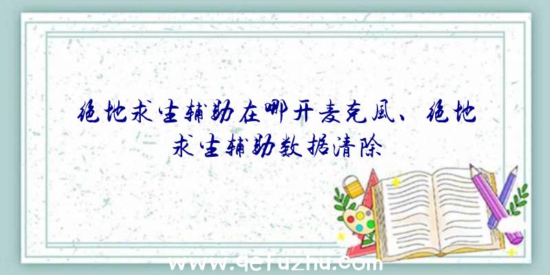 绝地求生辅助在哪开麦克风、绝地求生辅助数据清除