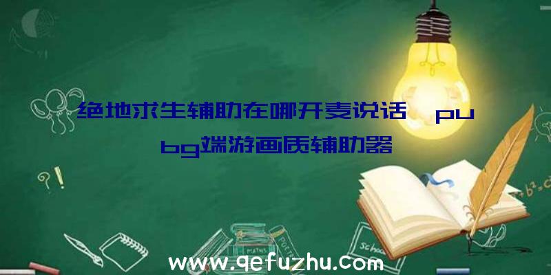 绝地求生辅助在哪开麦说话、pubg端游画质辅助器