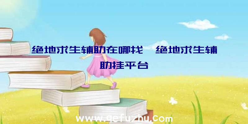 绝地求生辅助在哪找、绝地求生辅助挂平台