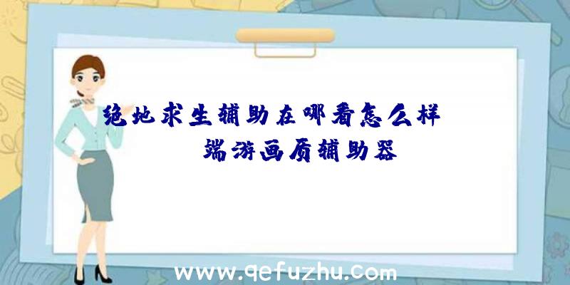 绝地求生辅助在哪看怎么样、pubg端游画质辅助器