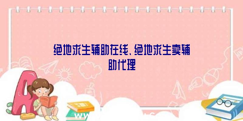 绝地求生辅助在线、绝地求生卖辅助代理