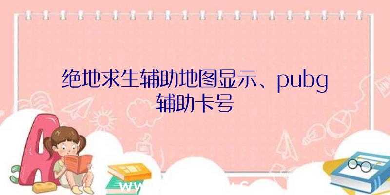 绝地求生辅助地图显示、pubg辅助卡号