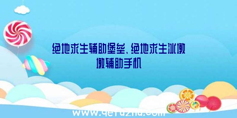 绝地求生辅助堡垒、绝地求生冰墩墩辅助手机