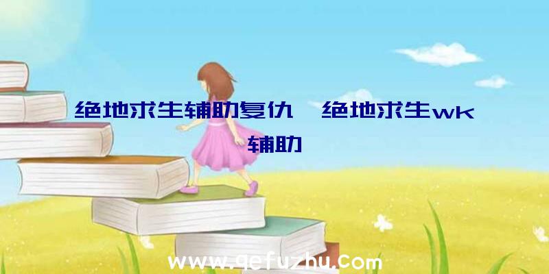 绝地求生辅助复仇、绝地求生wk辅助