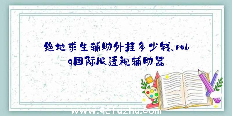 绝地求生辅助外挂多少钱、pubg国际服透视辅助器