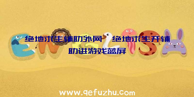 绝地求生辅助外网、绝地求生开辅助进游戏蓝屏