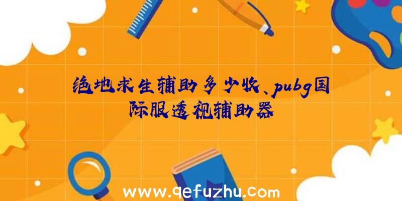 绝地求生辅助多少收、pubg国际服透视辅助器