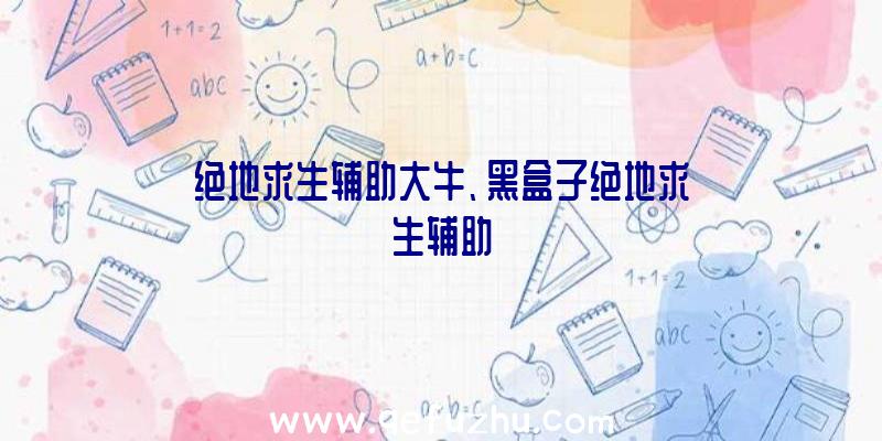 绝地求生辅助大牛、黑盒子绝地求生辅助