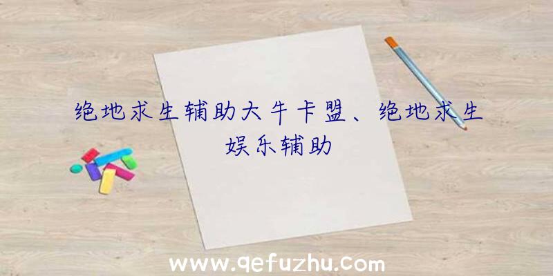 绝地求生辅助大牛卡盟、绝地求生娱乐辅助