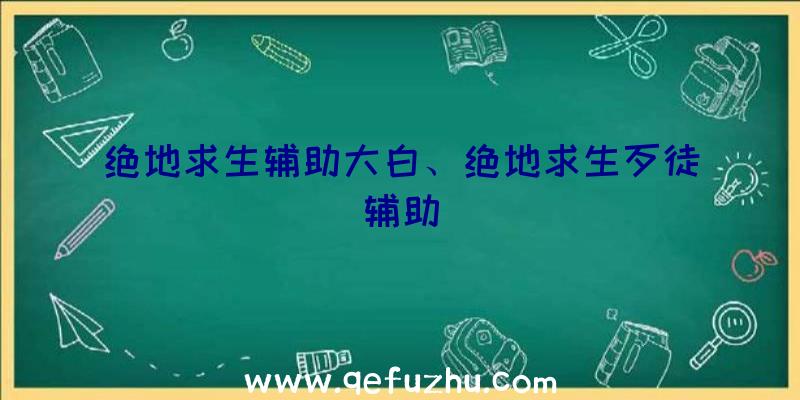 绝地求生辅助大白、绝地求生歹徒辅助