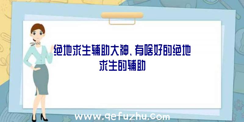 绝地求生辅助大神、有啥好的绝地求生的辅助