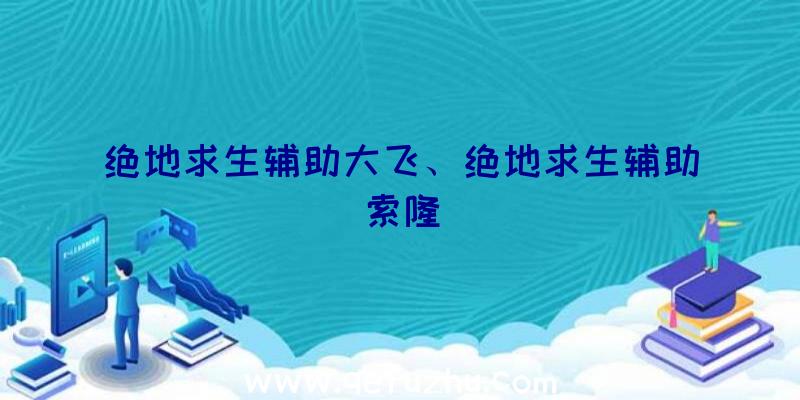 绝地求生辅助大飞、绝地求生辅助索隆