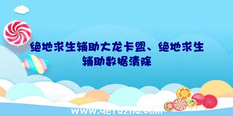 绝地求生辅助大龙卡盟、绝地求生辅助数据清除