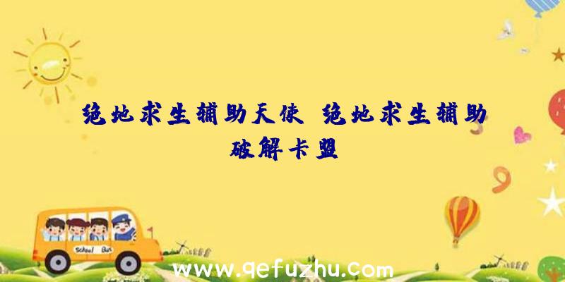 绝地求生辅助天使、绝地求生辅助破解卡盟