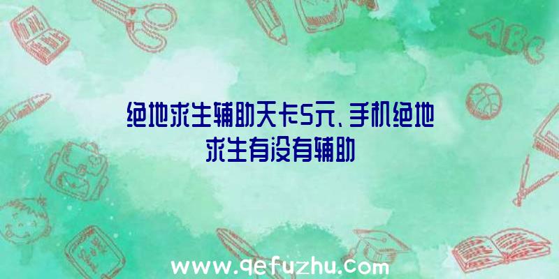 绝地求生辅助天卡5元、手机绝地求生有没有辅助