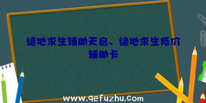 绝地求生辅助天启、绝地求生低价辅助卡