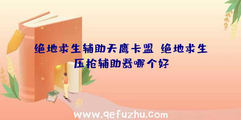 绝地求生辅助天鹰卡盟、绝地求生压枪辅助器哪个好