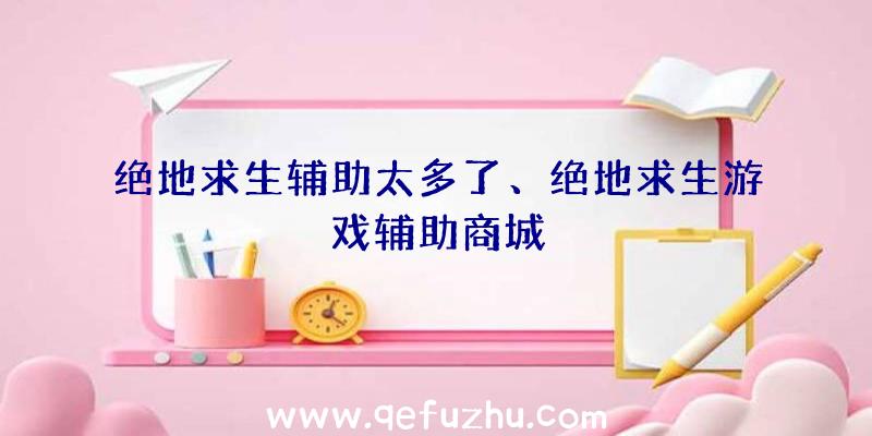 绝地求生辅助太多了、绝地求生游戏辅助商城