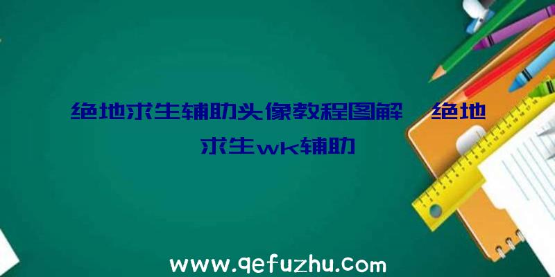 绝地求生辅助头像教程图解、绝地求生wk辅助