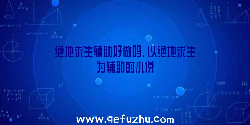 绝地求生辅助好做吗、以绝地求生为辅助的小说