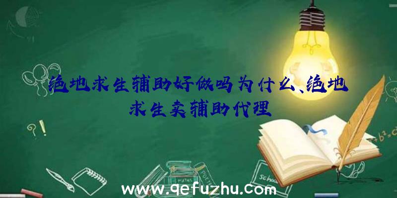 绝地求生辅助好做吗为什么、绝地求生卖辅助代理