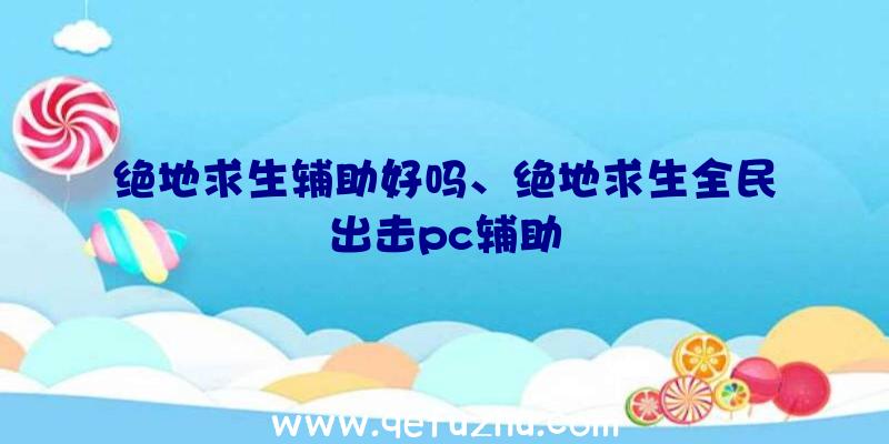 绝地求生辅助好吗、绝地求生全民出击pc辅助