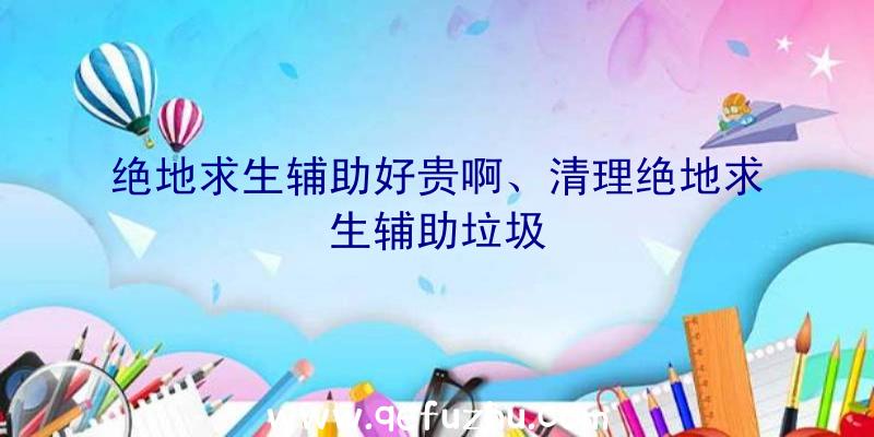 绝地求生辅助好贵啊、清理绝地求生辅助垃圾