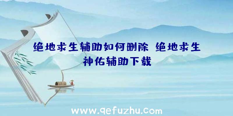 绝地求生辅助如何删除、绝地求生神佑辅助下载