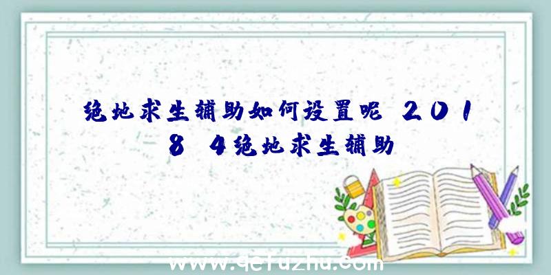 绝地求生辅助如何设置呢、2018.4绝地求生辅助