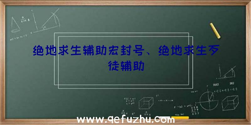 绝地求生辅助宏封号、绝地求生歹徒辅助