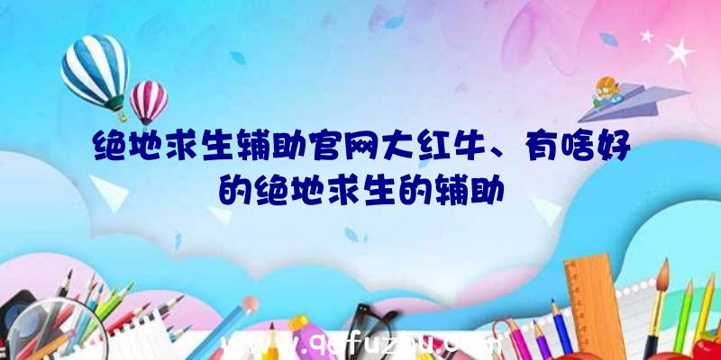 绝地求生辅助官网大红牛、有啥好的绝地求生的辅助