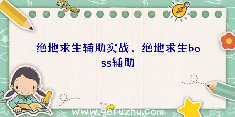 绝地求生辅助实战、绝地求生boss辅助