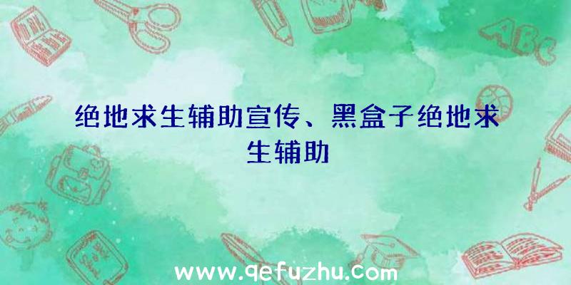 绝地求生辅助宣传、黑盒子绝地求生辅助